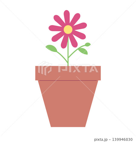 鉢植えの一輪の花 鉢植えの一輪の花 139946830