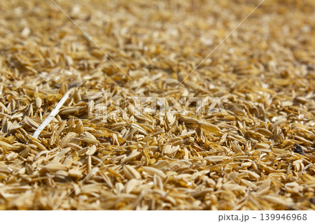 rice peel after harvest and hull background. rice peel after harvest and hull background. 139946968