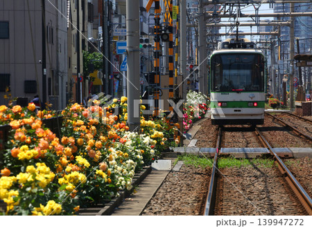 バラが咲き乱れる都電荒川線 バラが咲き乱れる都電荒川線 139947272