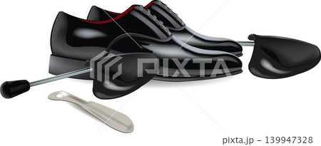elegant shoes elegant shoes 139947328