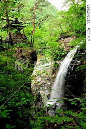新緑の虹見の滝と五龍王神社 新緑の虹見の滝と五龍王神社 139947369