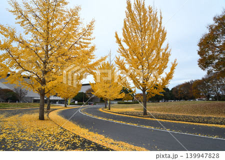 笠松運動公園の秋の風景 #7 笠松運動公園の秋の風景 #7 139947828