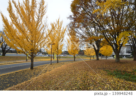 笠松運動公園の秋の風景　＃14 139948248