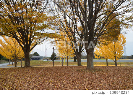 笠松運動公園の秋の風景 #20 笠松運動公園の秋の風景 #20 139948254