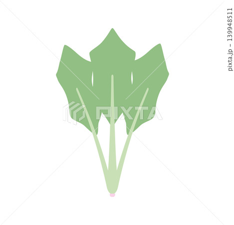 ほうれん草のシンプルなカラーアイコンイラスト素材 139948511
