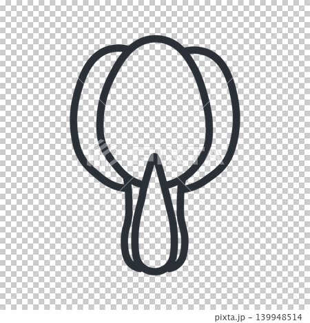 Simple line art icon illustration of bok choy Simple line art icon illustration of bok choy 139948514