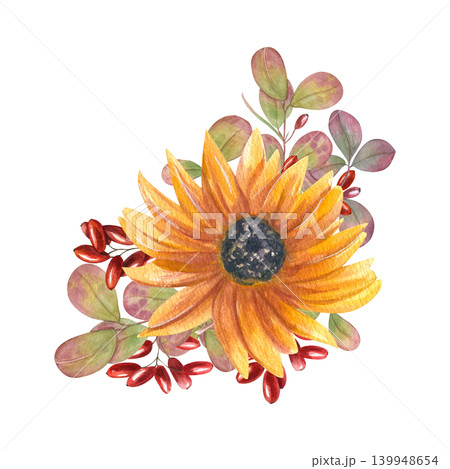 Watercolor sunflower, barberry plant bouquet. Autumn blooming flower head, berries and leaves floral composition. For fall design, wedding invitation, greeting card, and stationery decoration Watercolor sunflower, barberry plant bouquet. Autumn blooming flower head, berries and leaves floral composition. For fall design, wedding invitation, greeting card, and stationery decoration 139948654