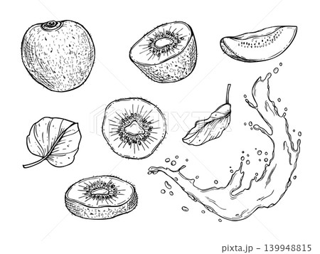Kiwi fruit set in sketch style. Sweet whole and sliced pods, leaves and juice splash black and white outline illustration. Healthy food design for menu, restaurant, or cookbook concept. Kiwi fruit set in sketch style. Sweet whole and sliced pods, leaves and juice splash black and white outline illustration. Healthy food design for menu, restaurant, or cookbook concept. 139948815