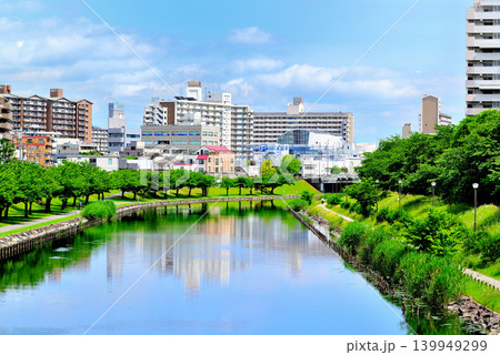 旧中川水辺公園周辺の紫陽花 旧中川水辺公園周辺の紫陽花 139949299