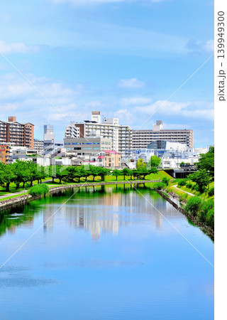 旧中川水辺公園周辺の紫陽花 139949300