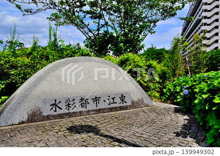 旧中川水辺公園周辺の紫陽花 139949302
