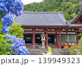 奈良　矢田寺本堂　満開のアジサイ 139949323