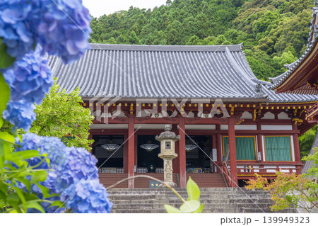 奈良　矢田寺本堂　満開のアジサイ 139949323