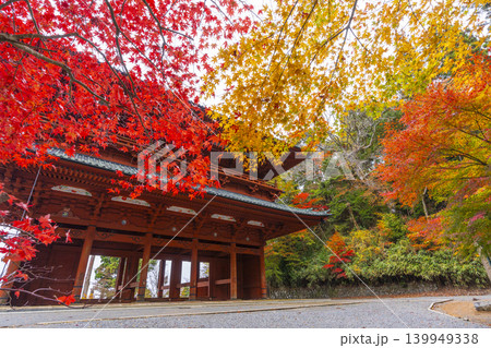 秋の高野山 大門と紅葉したモミジ 秋の高野山 大門と紅葉したモミジ 139949338