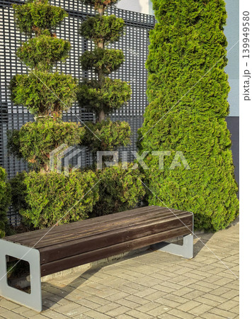 Public Park Bench and Coniferous Trees 139949580