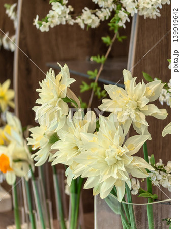 Double Narcissus Snowball in Spring Vase Double Narcissus Snowball in Spring Vase 139949642