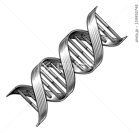DNA Double Helix Strand Spiral Medical Symbol 139950748