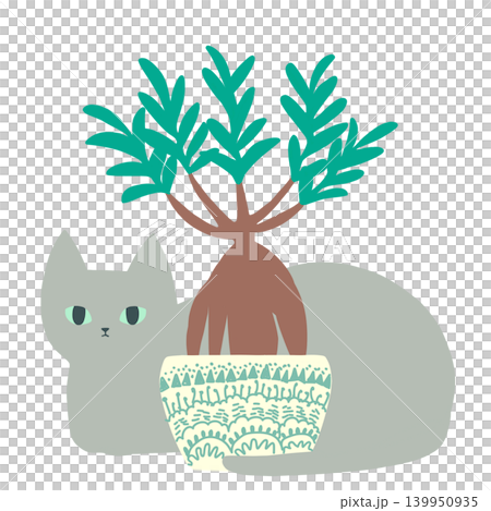 室內植物和一隻灰貓 室內植物和一隻灰貓 139950935