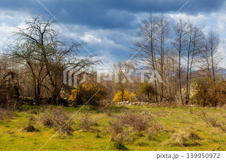 Spring landscape in Bansko Bulgaria 139950972
