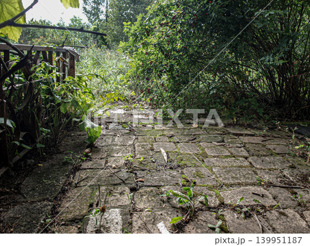 An abandoned garden, where a cracked pathway bears the silent marks of time 139951187