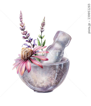 Echinacea and sage in stone mortar watercolor illustration. Botanical bowl with pestle and medicinal herbs for immune system medicine packaging, cold defense wellness tea branding, flu remedy 139951283