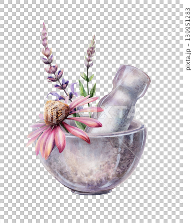 Echinacea and sage in stone mortar watercolor illustration. Botanical bowl with pestle and medicinal herbs for immune system medicine packaging, cold defense wellness tea branding, flu remedy 139951283