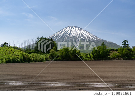 早春の羊蹄山 早春の羊蹄山 139951661
