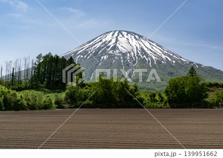 早春の羊蹄山 139951662
