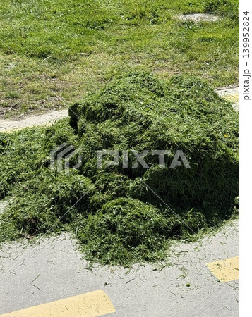 Grass clippings scattered on paved pathway, suitable for nature or gardening background 139952824