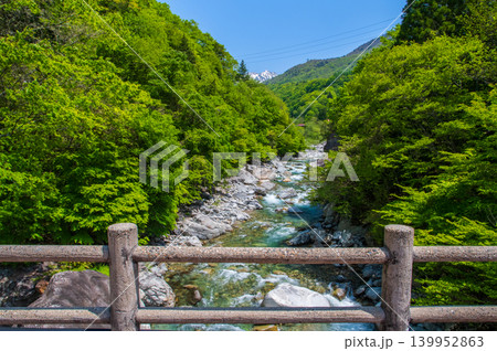 奥飛騨温泉郷「新穂高の湯」周辺の新緑風景《岐阜県 高山市》 奥飛騨温泉郷「新穂高の湯」周辺の新緑風景《岐阜県 高山市》 139952863