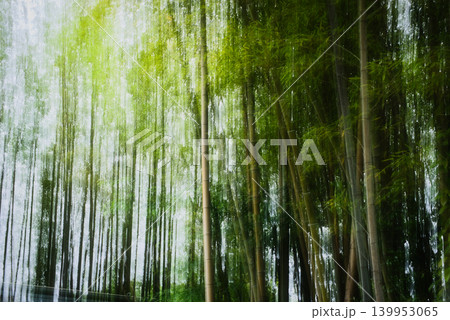 竹林のICM 139953065