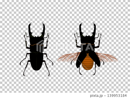 TITANUS TITANUS 139953184