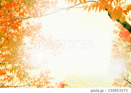 街中の紅葉 街中の紅葉 139953573