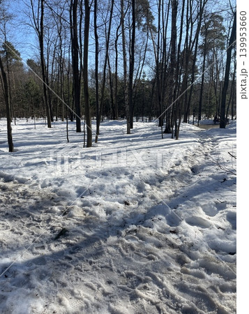 Snow-covered forest path with bare trees on a clear winter day, suitable as landscape background 139953660