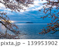沖島と桜 139953902