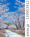 青空に映える満開の桜 139953912