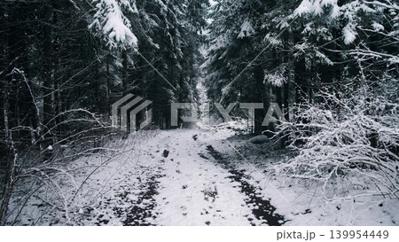 A serene winter scene shows a snow-covered trail winding through a dense forest in Alaska, Canada. The surroundings are peaceful and quiet, creating a picturesque landscape. A serene winter scene shows a snow-covered trail winding through a dense forest in Alaska, Canada. The surroundings are peaceful and quiet, creating a picturesque landscape. 139954449