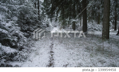 A peaceful winter scene reveals a snow-covered path winding through a dense forest in Alaska, Canada. Tall trees blanket the ground in white, creating a serene atmosphere. A peaceful winter scene reveals a snow-covered path winding through a dense forest in Alaska, Canada. Tall trees blanket the ground in white, creating a serene atmosphere. 139954458
