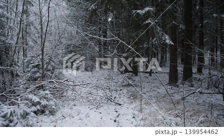 A peaceful winter landscape features a snow-covered forest in Alaska. Tall trees are blanketed in white, creating a serene and quiet atmosphere, typical of Canada’s rugged wilderness. A peaceful winter landscape features a snow-covered forest in Alaska. Tall trees are blanketed in white, creating a serene and quiet atmosphere, typical of Canada’s rugged wilderness. 139954462
