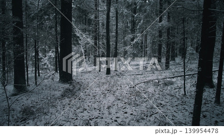 A tranquil winter scene captures a snow-covered forest in Alaska, Canada. Tall trees rise majestically amidst the white blanket of snow, creating a serene atmosphere. 139954478