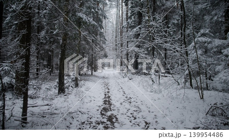 A serene winter scene features a snow-covered pathway winding through a dense forest. Tall trees stand silently, covered in white snow, creating a peaceful atmosphere in Alaska and Canada. A serene winter scene features a snow-covered pathway winding through a dense forest. Tall trees stand silently, covered in white snow, creating a peaceful atmosphere in Alaska and Canada. 139954486