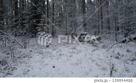 Snow blankets the ground in a tranquil forest in Alaska, with tall trees surrounding fallen logs. The peaceful winter landscape captures the stillness of nature in a remote area. Snow blankets the ground in a tranquil forest in Alaska, with tall trees surrounding fallen logs. The peaceful winter landscape captures the stillness of nature in a remote area. 139954488