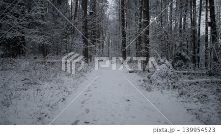 A serene winter scene captures a snow-covered path winding through a dense forest. Tall trees stand tall, blanketed in snow, with faint footprints marking the journey. A serene winter scene captures a snow-covered path winding through a dense forest. Tall trees stand tall, blanketed in snow, with faint footprints marking the journey. 139954523