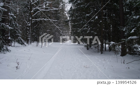 Cold Snowy Adventure, Winter Recreational Site With Snowcovered Paths Amid Pine Trees, Seasonal Sports Location Featuring Pristine Snow Trails Bordered By Dense Evergreen Forests Cold Snowy Adventure, Winter Recreational Site With Snowcovered Paths Amid Pine Trees, Seasonal Sports Location Featuring Pristine Snow Trails Bordered By Dense Evergreen Forests 139954526