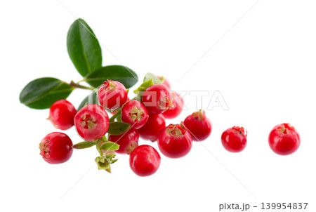 Fresh cowberry berries with leaves, isolated on white background. Ripe cranberry, cowberry, lingonberry. Clipping path. 139954837