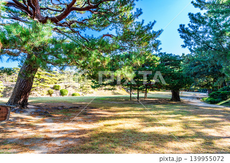 【特別名勝】栗林公園　晩秋の講武榭の風景2　香川県高松市 139955072