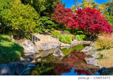 【特別名勝】栗林公園 晩秋の風景 紅葉と潺湲池3 香川県高松市 【特別名勝】栗林公園 晩秋の風景 紅葉と潺湲池3 香川県高松市 139955075