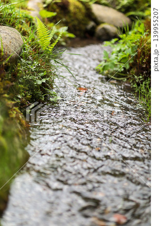 苔むす小川の風景 写真 mossy stream 苔むす小川の風景 写真 mossy stream 139955207