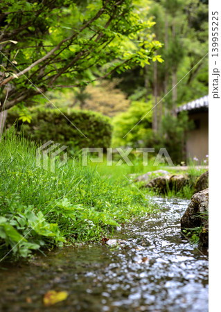 新緑の小川 写真 fresh green stream 新緑の小川 写真 fresh green stream 139955225