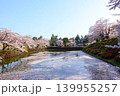満開の桜　花筏　松が岬公園　さくら　サクラ　ソメイヨシノ 139955257